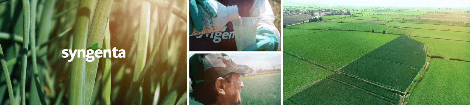 Syngenta